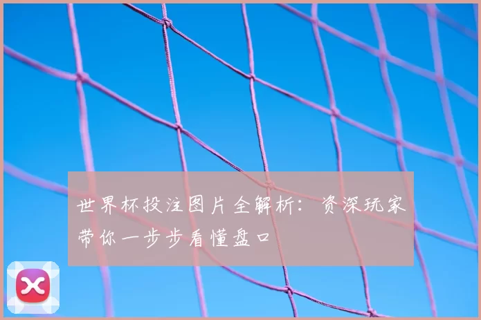 世界杯投注图片全解析：资深玩家带你一步步看懂盘口