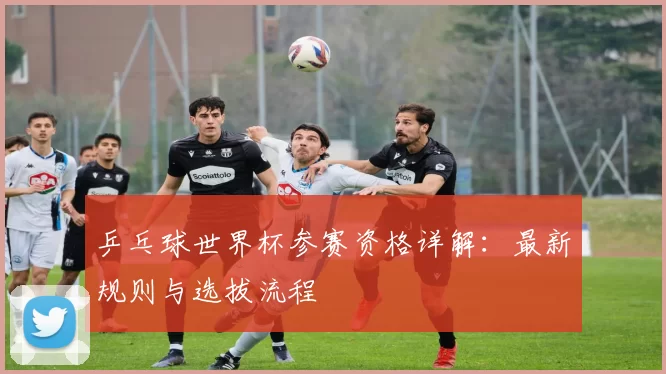 乒乓球世界杯参赛资格详解：最新规则与选拔流程