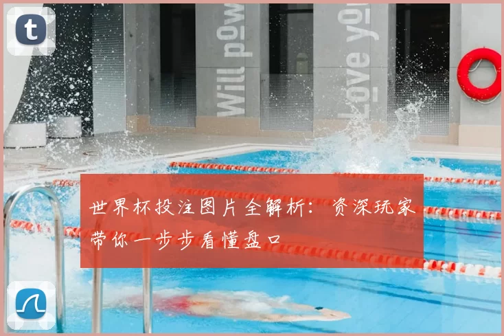 世界杯投注图片全解析：资深玩家带你一步步看懂盘口