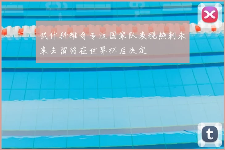 武什科维奇专注国家队表现热刺未来去留将在世界杯后决定