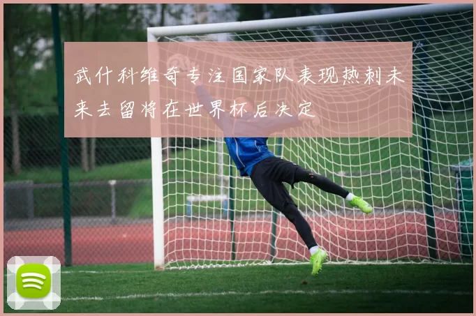 武什科维奇专注国家队表现热刺未来去留将在世界杯后决定