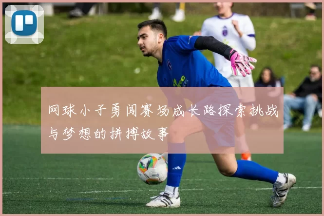 网球小子勇闯赛场成长路探索挑战与梦想的拼搏故事