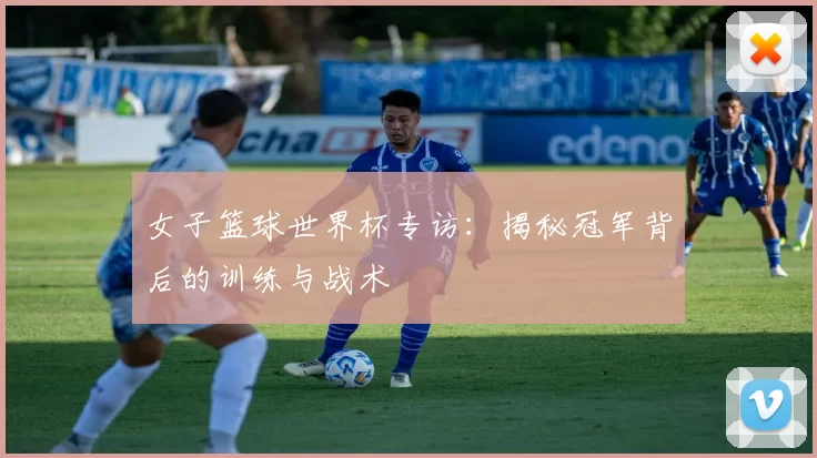 女子篮球世界杯专访：揭秘冠军背后的训练与战术