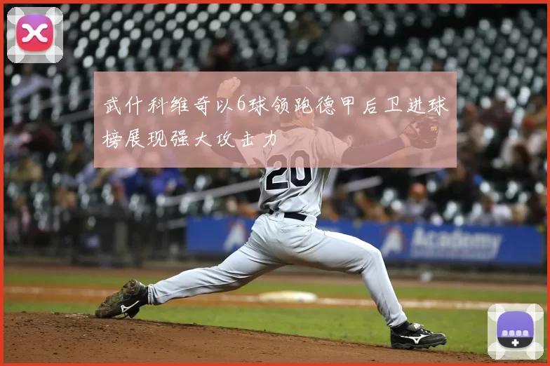 武什科维奇以6球领跑德甲后卫进球榜展现强大攻击力