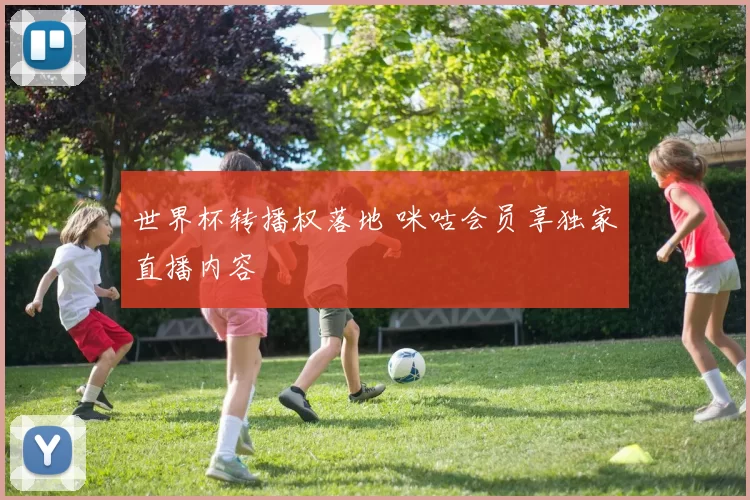 世界杯转播权落地 咪咕会员享独家直播内容