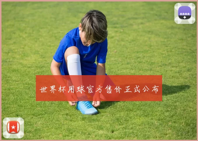 世界杯用球官方售价正式公布