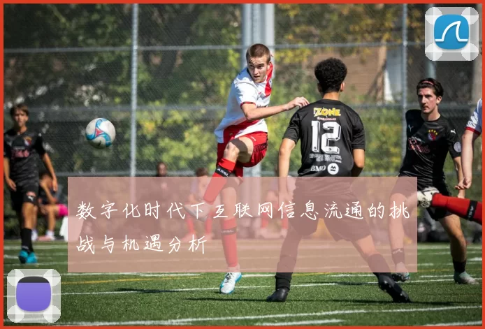 数字化时代下互联网信息流通的挑战与机遇分析