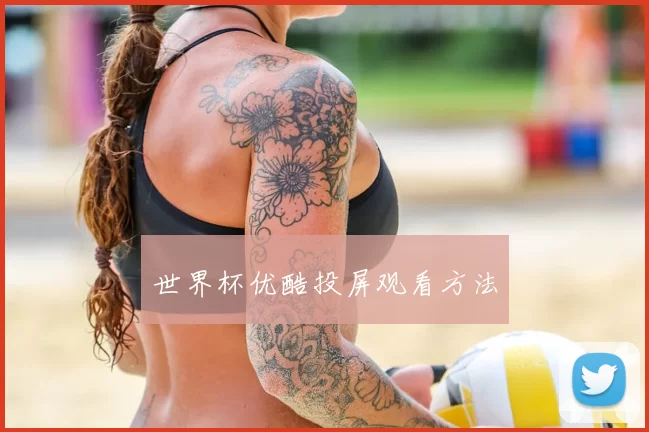 世界杯优酷投屏观看方法