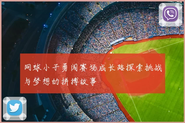 网球小子勇闯赛场成长路探索挑战与梦想的拼搏故事