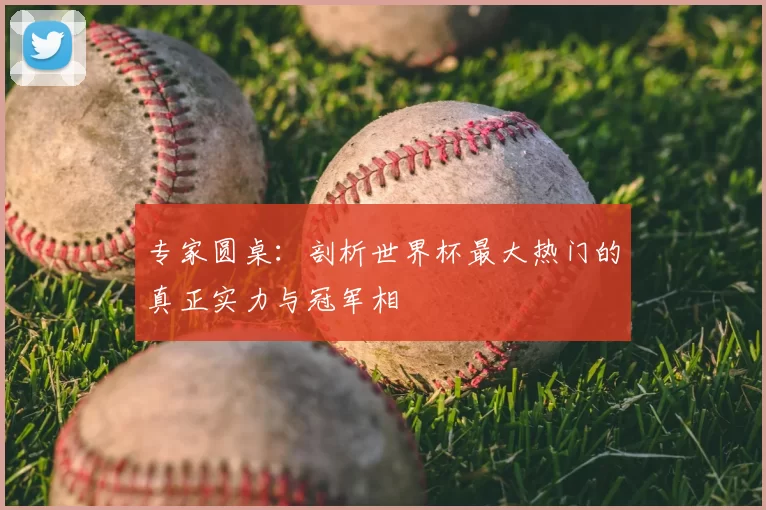 专家圆桌：剖析世界杯最大热门的真正实力与冠军相